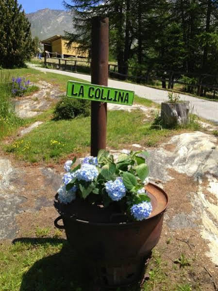 Hotel La Collina Saas-Fee Exterior foto